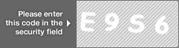 captcha code for visual authentication  letter E number 9 letter S number 6
