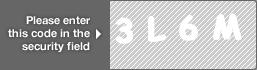 captcha code for visual authentication  number 3 letter L number 6 letter M
